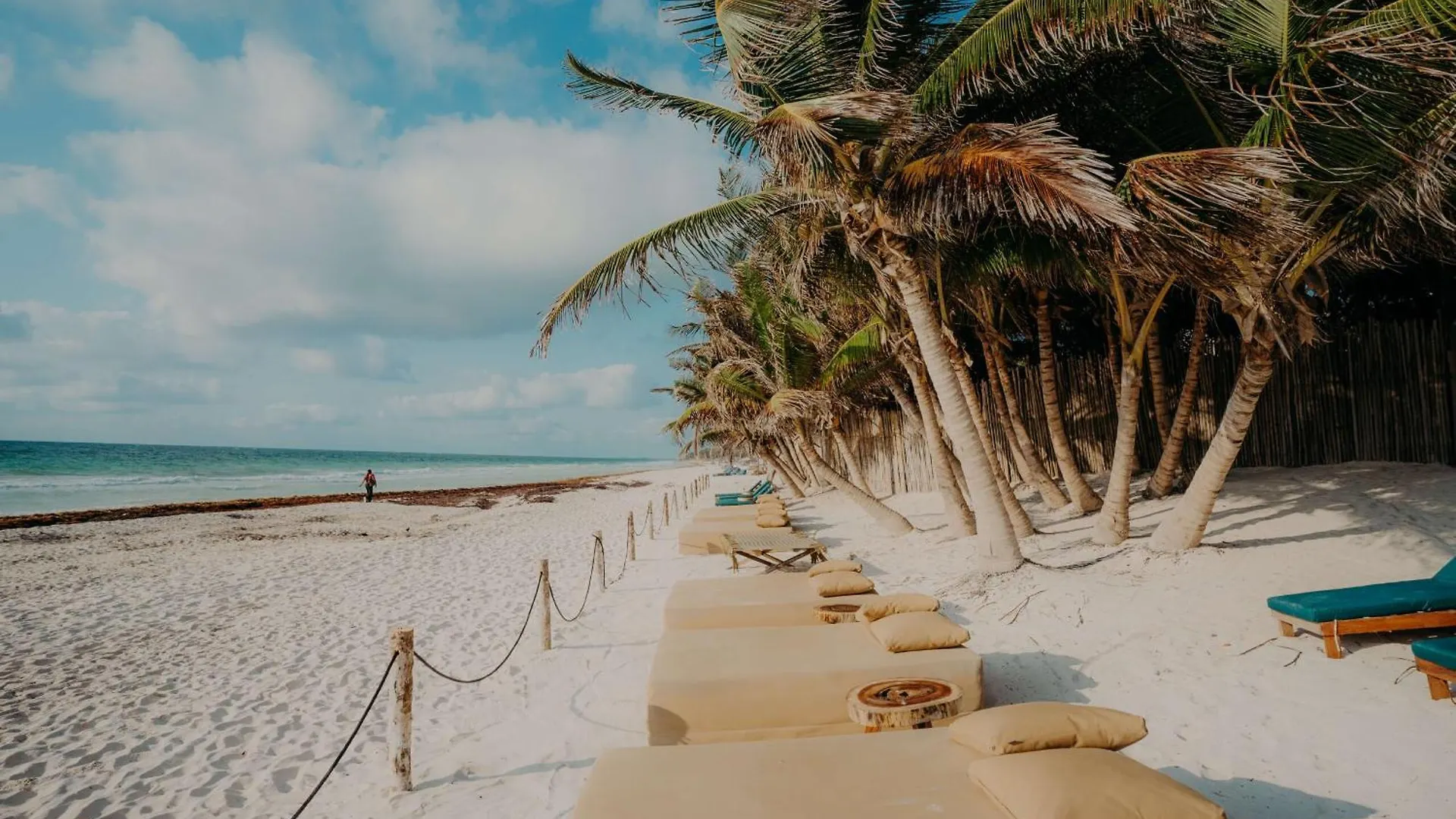 2Br 2Ba Penthouse With Private Rooftop Terrace Tulum Appartamento